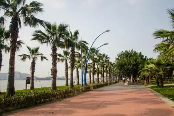 廈門海灣公園有沙灘嗎?廈門海灣公園要門票嗎？