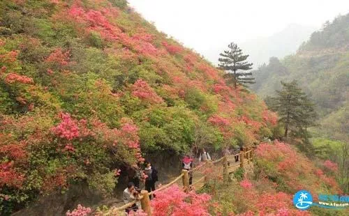 武漢木蘭云霧山門票價格+優惠政策+注意事項 武漢木蘭云霧山門票價格+優惠政策+注意事項