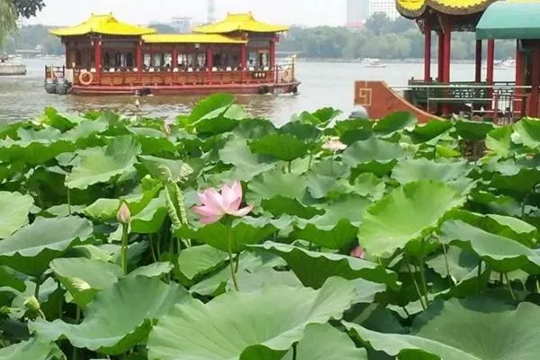 襄陽荷花湖門票多少錢一張
