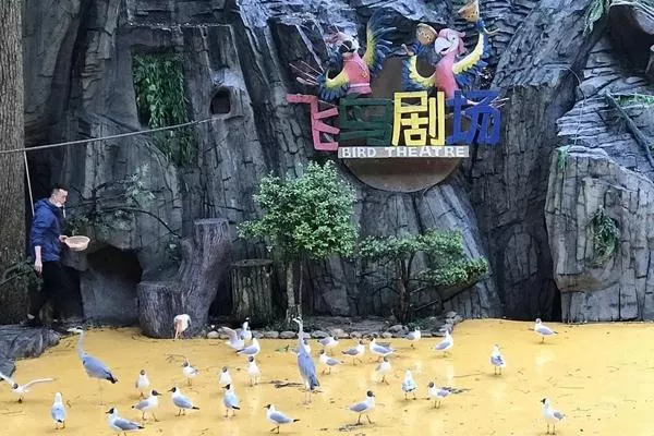 東湖飛鳥世界營業時間 幾點開門