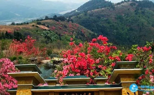 武漢木蘭云霧山門票價格+優惠政策+注意事項 武漢木蘭云霧山門票價格+優惠政策+注意事項