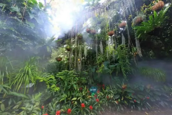 廈門避暑納涼好去處