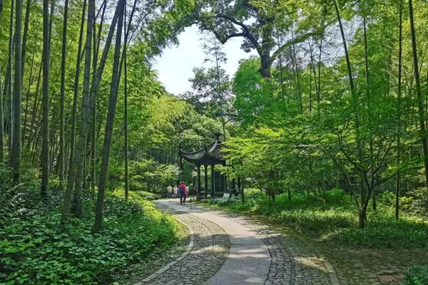 杭州夏天避暑最佳旅游地 這18個避暑勝地不容錯過