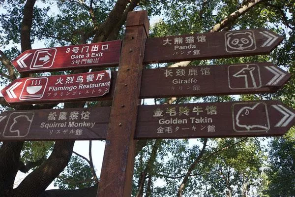 上海野生動物園一日游攻略 附游玩路線及必打卡景點