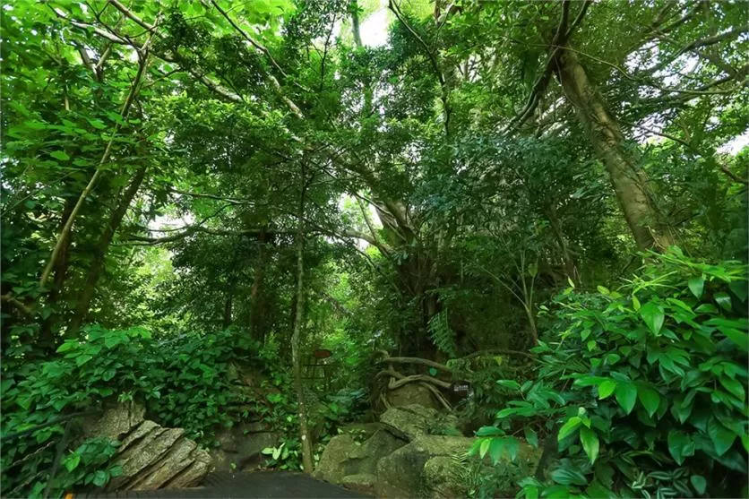 三亞呀諾達旅游景點介紹 三亞呀諾達旅游景點介紹