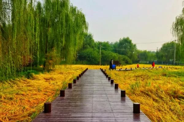 北京郊野公園秋景最好的地方有哪些