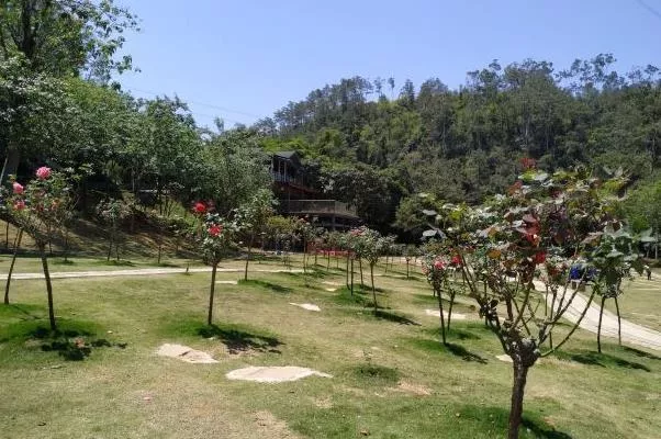 廈門天竺山游玩路線攻略