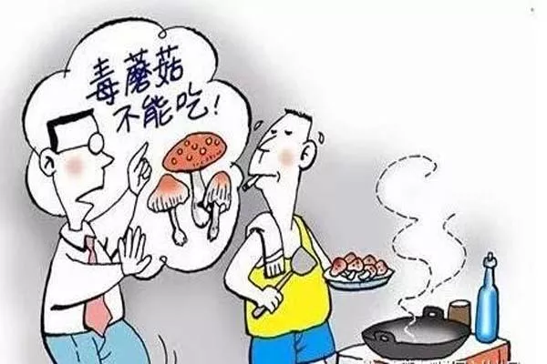 云南旅游注意事項 如何鑒別菌子是否有毒