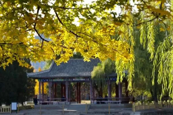 北京朝陽秋天小眾景點有哪些