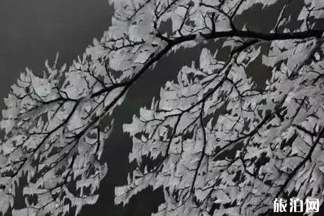 三清山下雪了嗎2018年12月 三清山雪景介紹