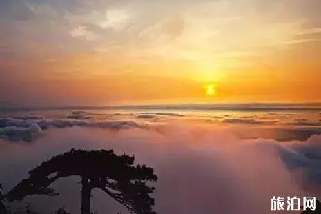 三清山下雪了嗎2018年12月 三清山雪景介紹