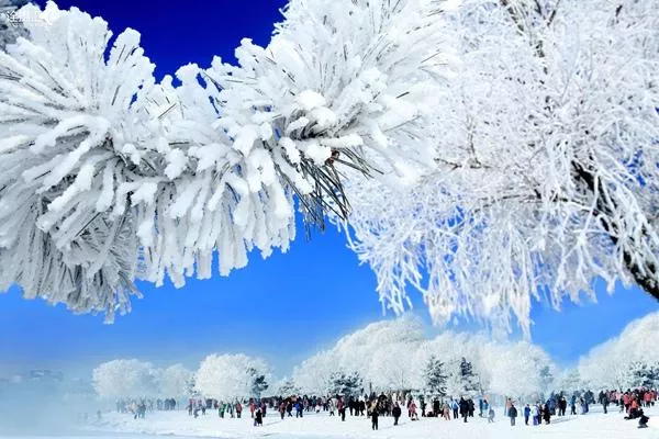 長春霧凇什么時候出現 12月~2月這幾個月份別錯過了