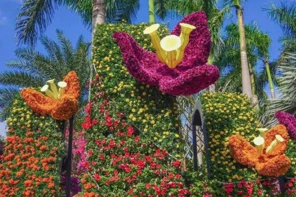 2020深圳簕杜鵑花展時間 深圳蓮花山簕杜鵑花展各展區介紹匯總