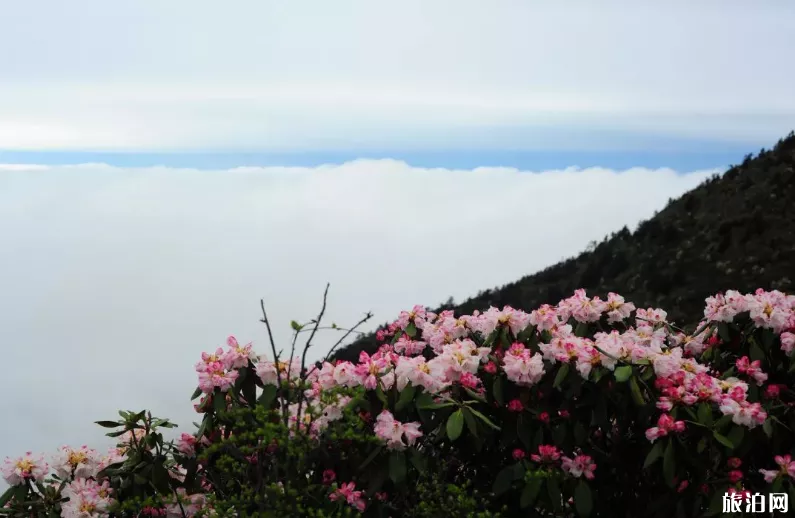 轎頂山自駕游攻略 轎頂山什么時候去比較好