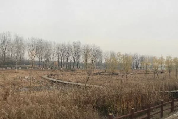 北京冬天適合騎行的公園有哪些
