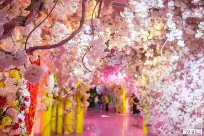 2019重慶幻太奇海洋館八月優惠活動+游樂項目