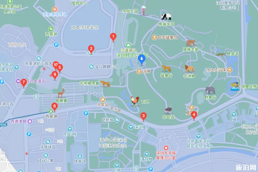 深圳野生動物園暑假門票有什么優惠+夜場看點