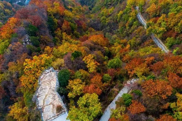 蘭州周邊看紅葉有哪些地方