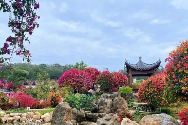 2022廣州馬嶺觀花植物園春節開放嗎