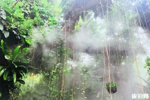 2019廈門園林植物園門票+開放時間+優惠信息