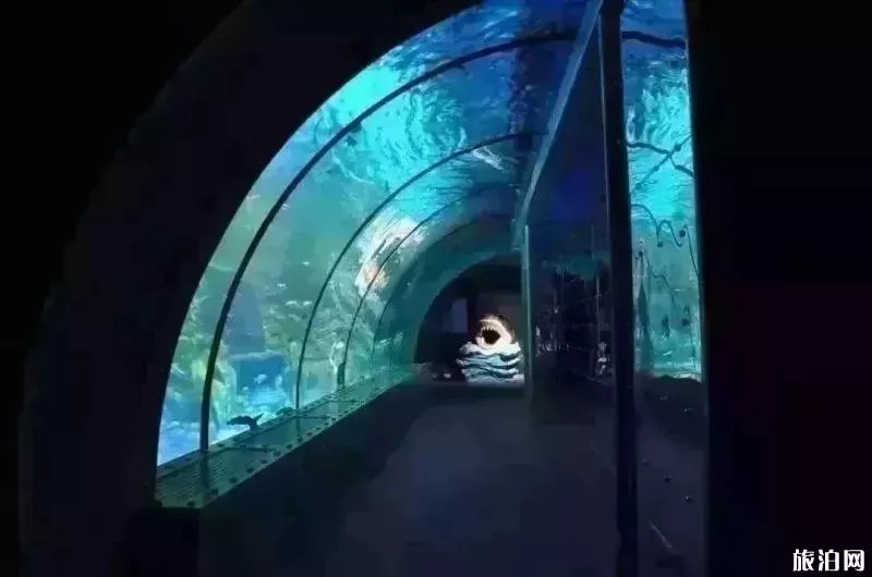 2019重慶幻太奇海洋館八月優惠活動+游樂項目