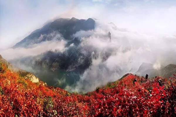 2021年重慶巫山紅葉節是什么時候