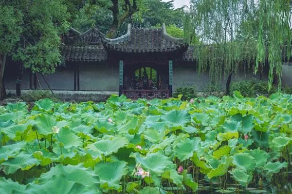 2022蘇州夏天親子游哪里好玩