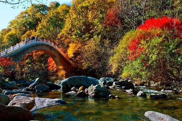天橋溝國家森林公園在哪 最適合什么時候去玩