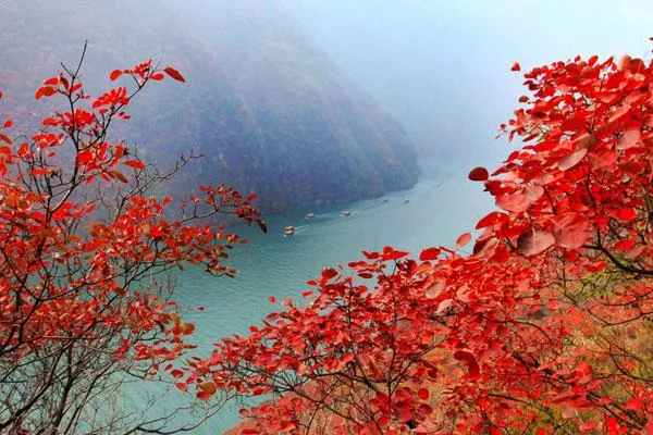 2021年重慶巫山紅葉節是什么時候