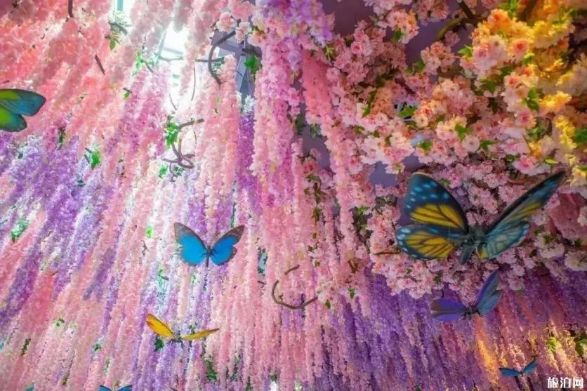 2019重慶幻太奇海洋館八月優惠活動+游樂項目