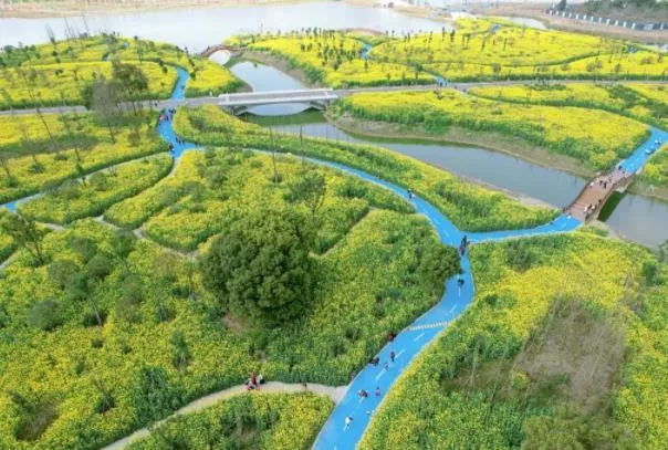 2022成都千畝油菜花在哪里 小眾景點賞花攻略