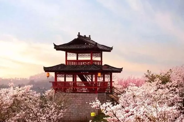 長沙潯龍河櫻花谷在哪里 地址及交通指南