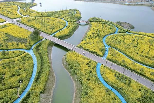 2022成都千畝油菜花在哪里 小眾景點賞花攻略