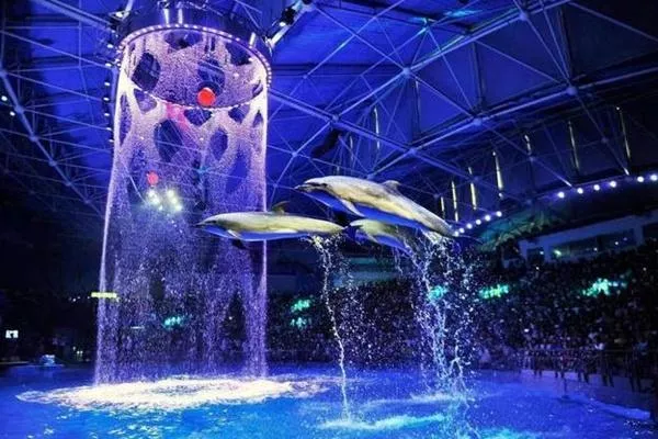 2022成都海昌極地海洋公園三八節門票特惠活動