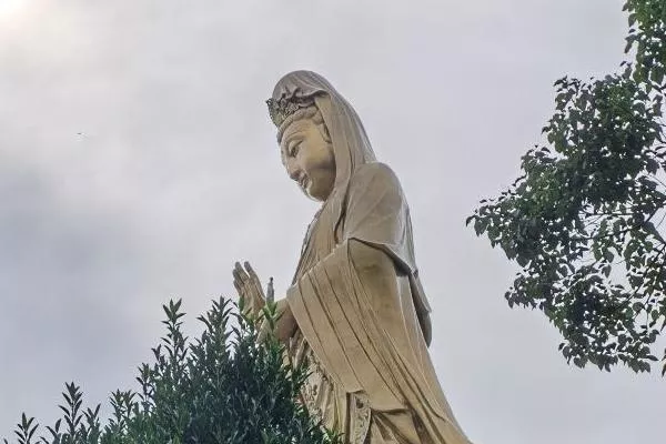 第一次去普陀山要注意什么 旅游注意事項