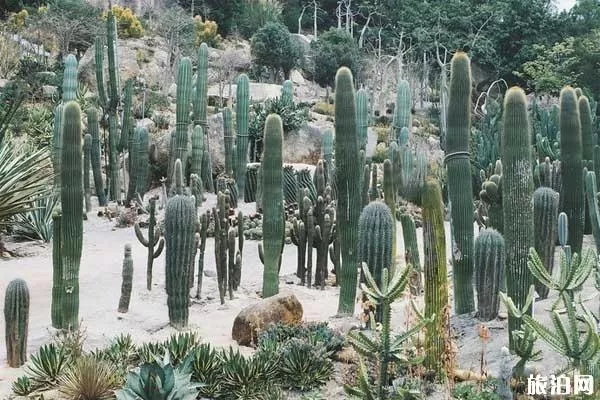 2019廈門園林植物園門票+開放時間+優惠信息