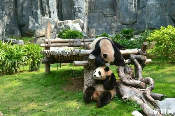 深圳野生動物園暑假門票有什么優惠+夜場看點