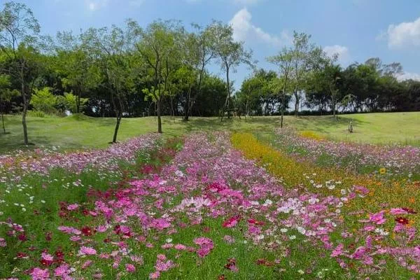 2022廈門園林植物園開放時間