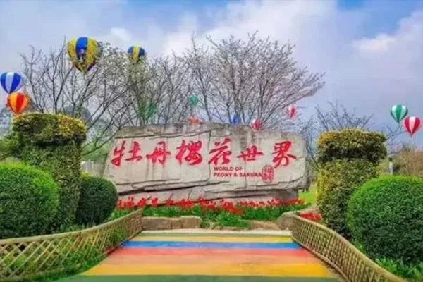 重慶牡丹櫻花世界在哪里 附賞花攻略