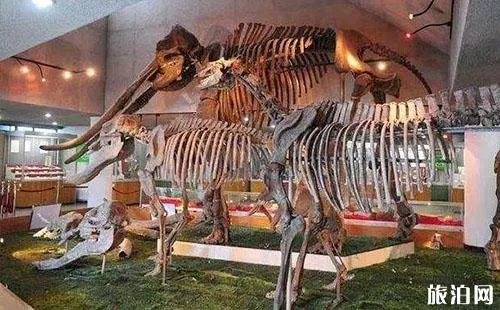2018中國古動物博物館門票價格+優惠信息