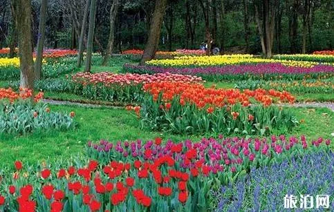2018武漢植物園門票價格+優惠信息+游玩線路
