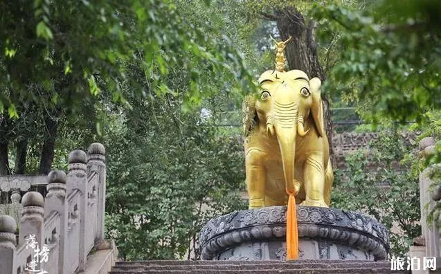 塔爾寺門票多少錢+優惠政策+講解員費用