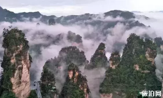 河南周邊旅游優惠景點2018