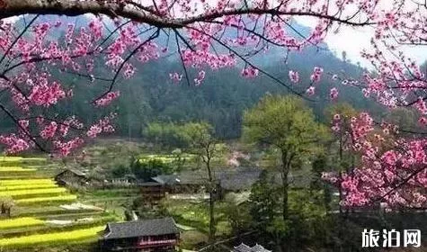 河南周邊旅游優惠景點2018
