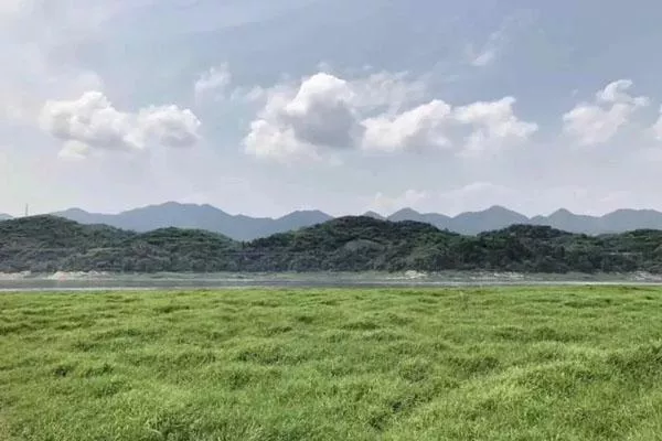 2022重慶清明節周邊一日游小眾景點推薦