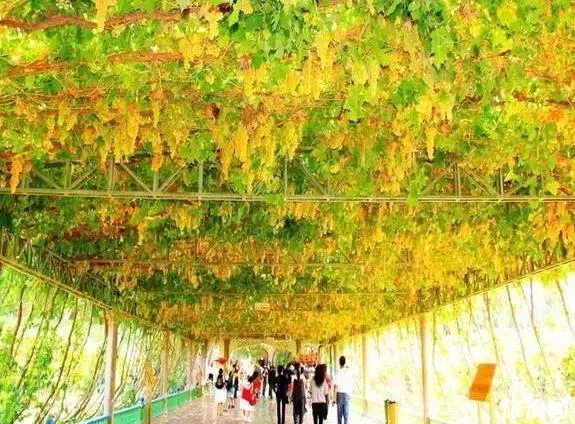 2018九月景區優惠信息匯總