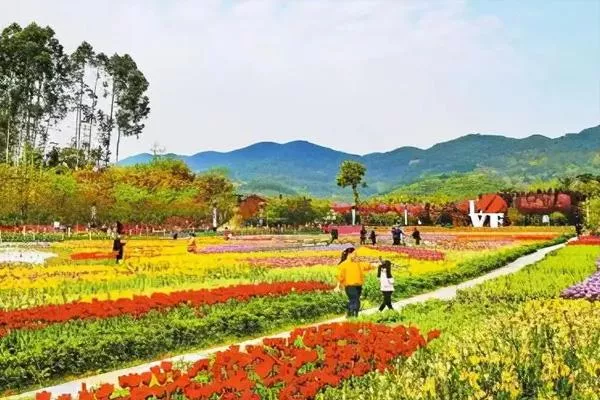 重慶牡丹櫻花世界在哪里 附賞花攻略