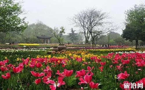 2018武漢植物園門票價格+優惠信息+游玩線路