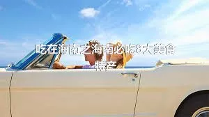 吃在海南之海南必吃8大美食特產