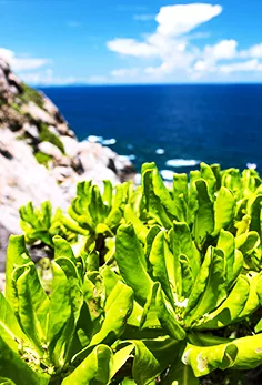 海南分界洲島旅游區